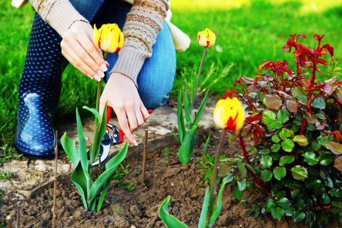 The image shows a person tending to a garden filled with bright yellow and red tulips, with their hands gently planting or adjusting the flowers in rich, dark soil. The garden features a neatly maintained lawn area with lush green grass in the background, bordered by a small paving path made of natural stone slabs. To the right, there is a decorative shrub with red and green leaves, adding colour and texture to the garden layout. The scene appears to be outdoors on a clear day, with natural light illuminating the vibrant colours of the flowers and foliage. The individual is dressed in casual clothing, including a sweater and jeans, and is wearing waterproof gardening boots. This outdoor space demonstrates typical elements of a well-kept residential garden in Kilburn, with emphasis on flower planting and lawn care, aligning with gardening and landscaping services offered by companies such as Hedge Trimming Kilburn.