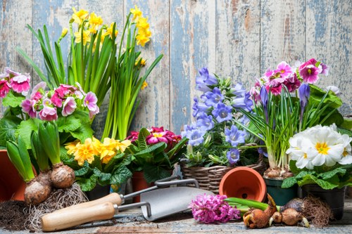 A collection of flower pots arranged on a weathered wooden surface outdoors, featuring a variety of blooming plants including yellow daffodils, pink primroses, purple and blue flowers, and white primroses with yellow centers; some pots are terracotta and others are woven baskets. Gardening tools such as a hand trowel and a small fork are placed among the pots, alongside garden bulbs and soil. In the background, a pale blue, distressed wooden panel provides a rustic backdrop for the display, which suggests a garden or outdoor plant care setting in Kilburn, with natural light highlighting the vibrant colors and textures of the flowers and gardening accessories.